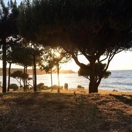 Appartement Location Lumio, 1 Piece, 2 Personnes *